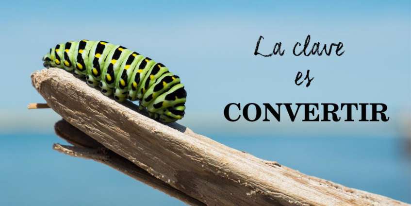 ¿Cómo optimizar la tasa de conversión de la Web de tu negocio?