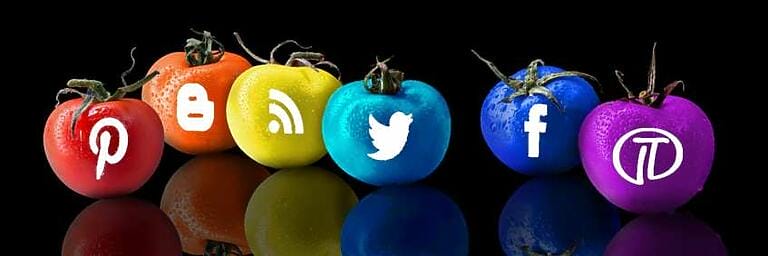 Vatoel Social Media & Marketing Online - Reputación Online